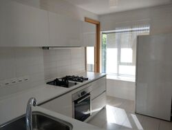 Shelford Suites (D11), Condominium #319778221